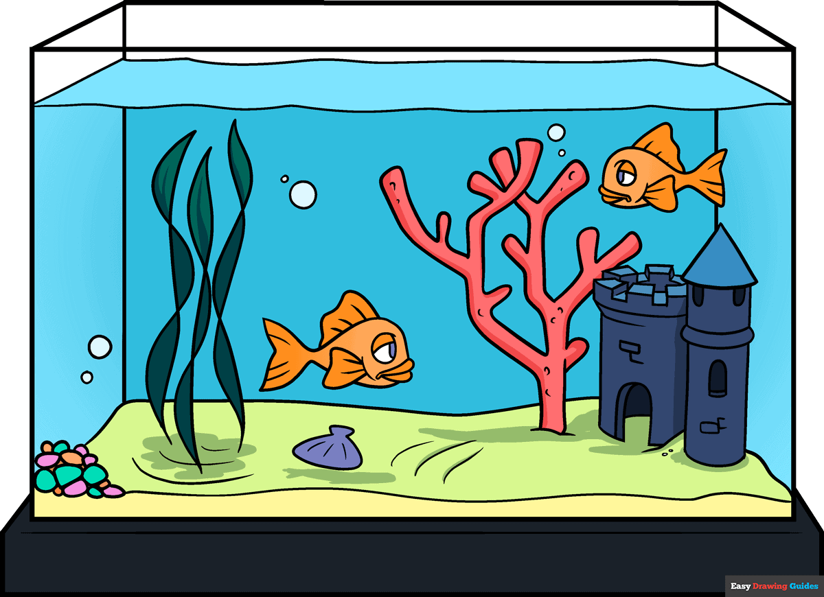 Unleash the Serenity: Fish Tank Magic for Your Home